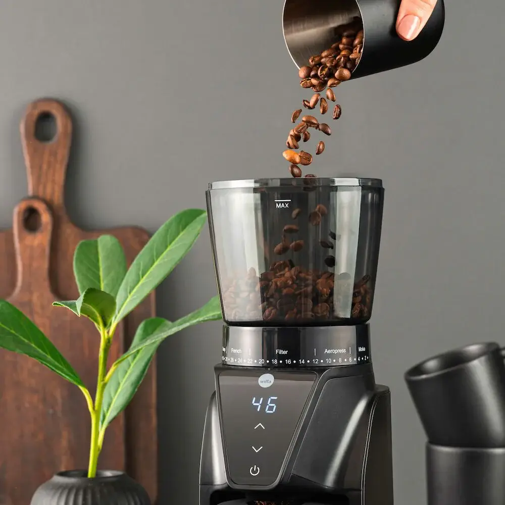 coffee-grinder_balance_cg1b-275_environment_beans_sqr.webp